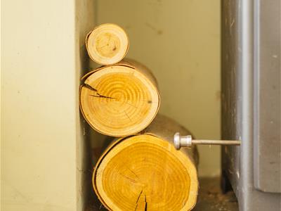 Picture 7